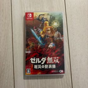 ゼルダ無双 厄災の黙示録 Nintendo Switch