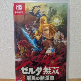 ゼルダ無双 厄災の黙示録 Switch