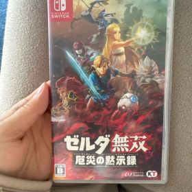 ゼルダ無双 厄災の黙示録 Nintendo Switch