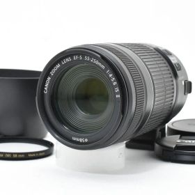 ★極上品★キヤノン CANON EF-S 55-250mm F4-5.6 IS II + EF-EOS M アダプター★ T88＃4932