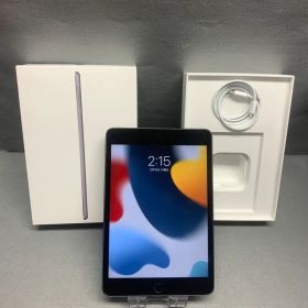 美品 Wi-Fi版 iPad mini 第5世代 64GB スペースグレイ色