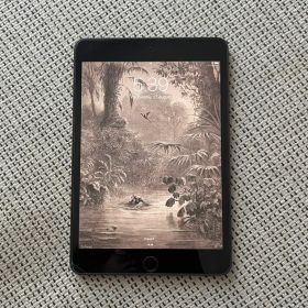 iPad mini 第5世代 64GB Wi-Fi 美品 動作確認済み