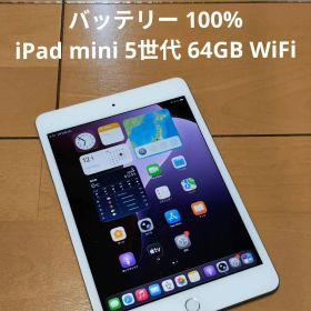 最終価格 バッテリー100% 【iPad mini 5世代 64GB WiFi】