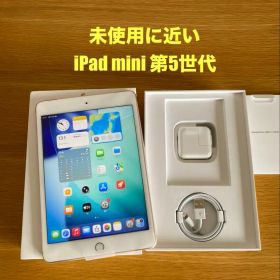 iPad mini 第5世代 ゴールド 付属品完備 iPad 本体 Aランク