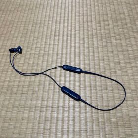 SONY ソニー ワイヤレスイヤホン WI-C100 WZ