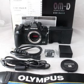 ☆良品☆ OLYMPUS ミラーレス一眼カメラ OM-D E-M1 MarkIII ボディ オリンパス #4787