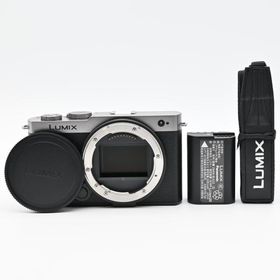 Panasonic LUMIX S9 ボディ DC-S9-S ダークシルバー 美品