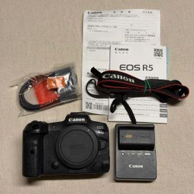 Canon EOS R5 シャッター回数1万回台