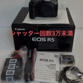 Canon EOS R5 ボディ、 シャッター回数3万未満