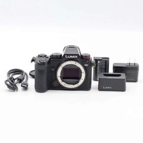 ショット数10719回 Panasonic (パナソニック) LUMIX DC-S5 ボディ #983