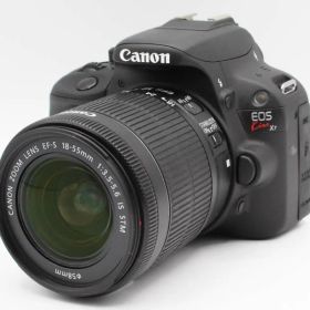 ☆★極上美品★《ショット数4786回 》キヤノン Canon EOS kiss X7 レンズキット EF-S 18-55mm F3.5-5.6 IS STM 付属品多数★ ♯435