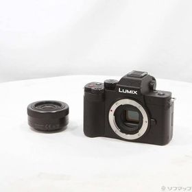 〔中古〕Panasonic(パナソニック) 期間特価対象品 DC-G100DV〔269-ud〕