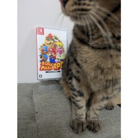 ニンテンドウ(任天堂)のスーパーマリオRPG【Switch】(家庭用ゲームソフト)