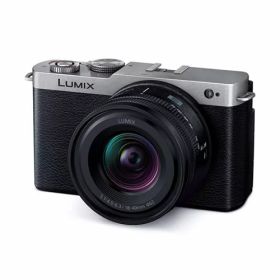 Panasonic デジタル一眼カメラ LUMIX DC-S9N-S 広角ズームレンズキット ダークシルバー