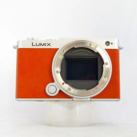 【中古】 (パナソニック) Panasonic LUMIX S9 DC-S9N ボディ【中古カメラ デジタル一眼】 ランク：AB
