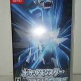動作確認品 ニンテンドースイッチ ポケットモンスター ブリリアントダイヤモンド