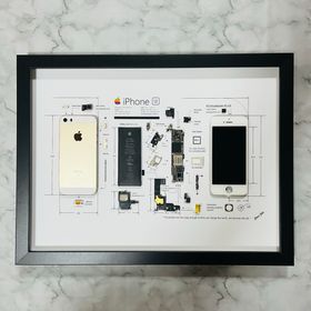 iPhone SE ゴールド 標本アート ボックスフレーム仕様(スマートフォン本体)