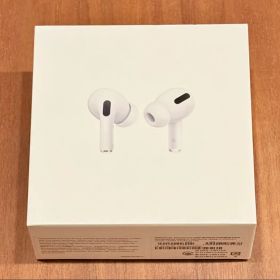 Apple Air Pods Pro 第1世代 MWP22J/A ジャンク