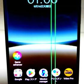 Sony Xperia 5 IV Dual SIM XQ-CQ72