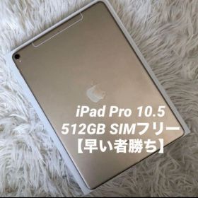 【格安】iPad Pro 10.5 512GB SIMフリー 【すぐ発送】