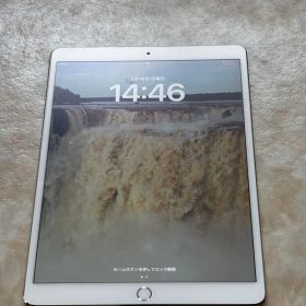 Apple iPad Pro 10.5インチ SIMなし 3月25日まで