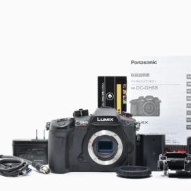 Panasonic Lumix DC-GH5S