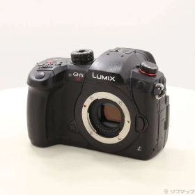 ソフマップ 〔中古品〕 DC-GH5S ボディ【262】