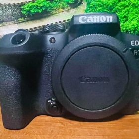 Canon EOS R10 ボディ ケース付き