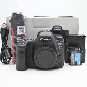 シャッター回数『4191』Canon デジタル一眼レフカメラ EOS 6D Mark II ボディ