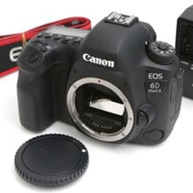 【全額返金保証】美品｜キヤノン EOS 6D Mark II ボディ（センサー清掃済） CA01-B4828-3V3B