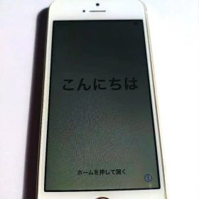 iPhone SE 第1世代 32GB ローズゴールド 動作OK