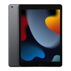 【国内正規品】【新品未開封】 10.2インチ iPad Wi-Fi 256GB - スペースグレイ MK2N3J/A