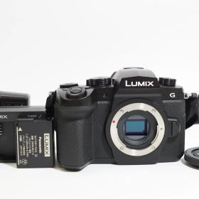 C021918-1)美品 PanasoniC LUMIX DC-G99D ミラーレス一眼