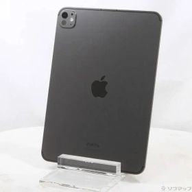 ソフマップ 〔中古品〕 iPad Pro 11インチ 第5世代 標準ガラス 1TB スペースブラック MVW53J／A SIMフリー【262】