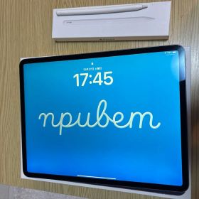 [即購入歓迎]iPad Pro 第4世代 512GB+apple pencil