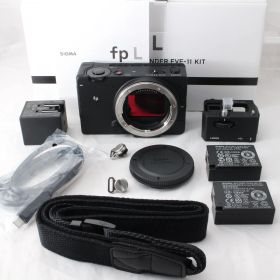 ☆新品級☆ SIGMA シグマ fp L ミラーレスカメラ #4789