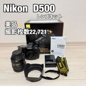 美品 Nikon D500 16-80 VR DX レンズキット