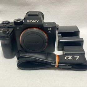 SONY ソニー α7S II ILCE-7SM2 カメラ ショット数 8700