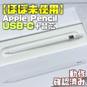 動作確認済み【ほぼ未使用】Apple Pencil USB-C 本体＋替え芯