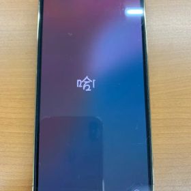 Q*m様 動作確認済 iPhone 13 Pro 256GB ID Y2229