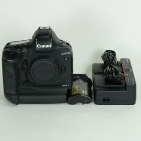 [並品 | シャッター数240,000回] Canon EOS-1D X Mark II | Canon EFマウント