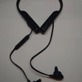 ソニー SONY ワイヤレスノイズキャンセリングイヤホン WI-1000XM2