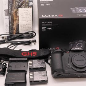 美品 Panasonic LUMIX DC-GH5 S ボディショット数315