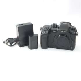 【シャッター数2430回】 パナソニック Panasonic LUMIX DC-GH5 ミラーレス一眼カメラ