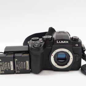 C111318-1)PanasoniC LUMIX DC-G99D ミラーレス一眼レフ バッテリー2本付き