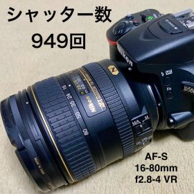 【美品】 Nikon D5600+AF-S 16-80mm f2.8-4E VR