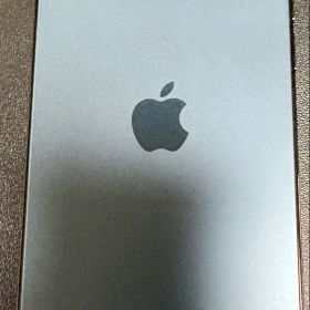 Apple iPhone 12 ジャンク