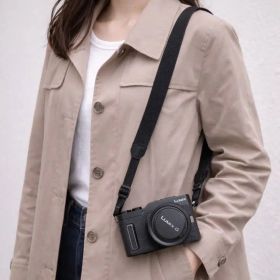 Panasonic LUMIX ダブルズームキット DC-GF10