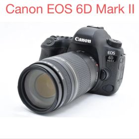 デジタル一眼レフカメラCanon EOS 6D Mark II 望遠レンズセット