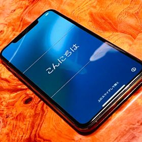 -価格交渉可- 美品 iPhone XS Max 256GB 物理SIM2枚挿し